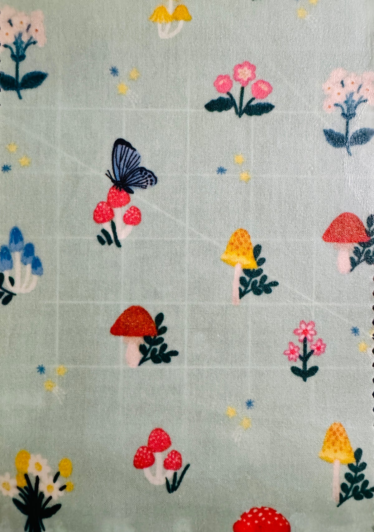 2 Pack Small 6x9" Beeswax Wrap  (MUSHROOM)