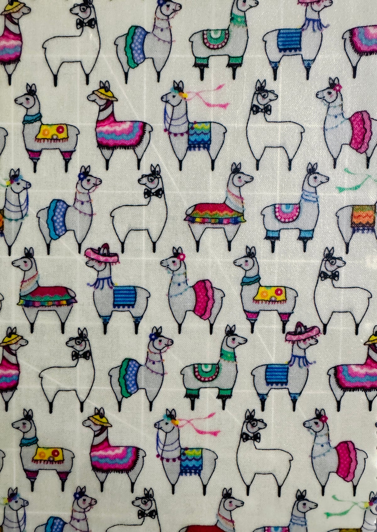 2 Pack Small 6x9" Beeswax Wrap  (LLAMA)