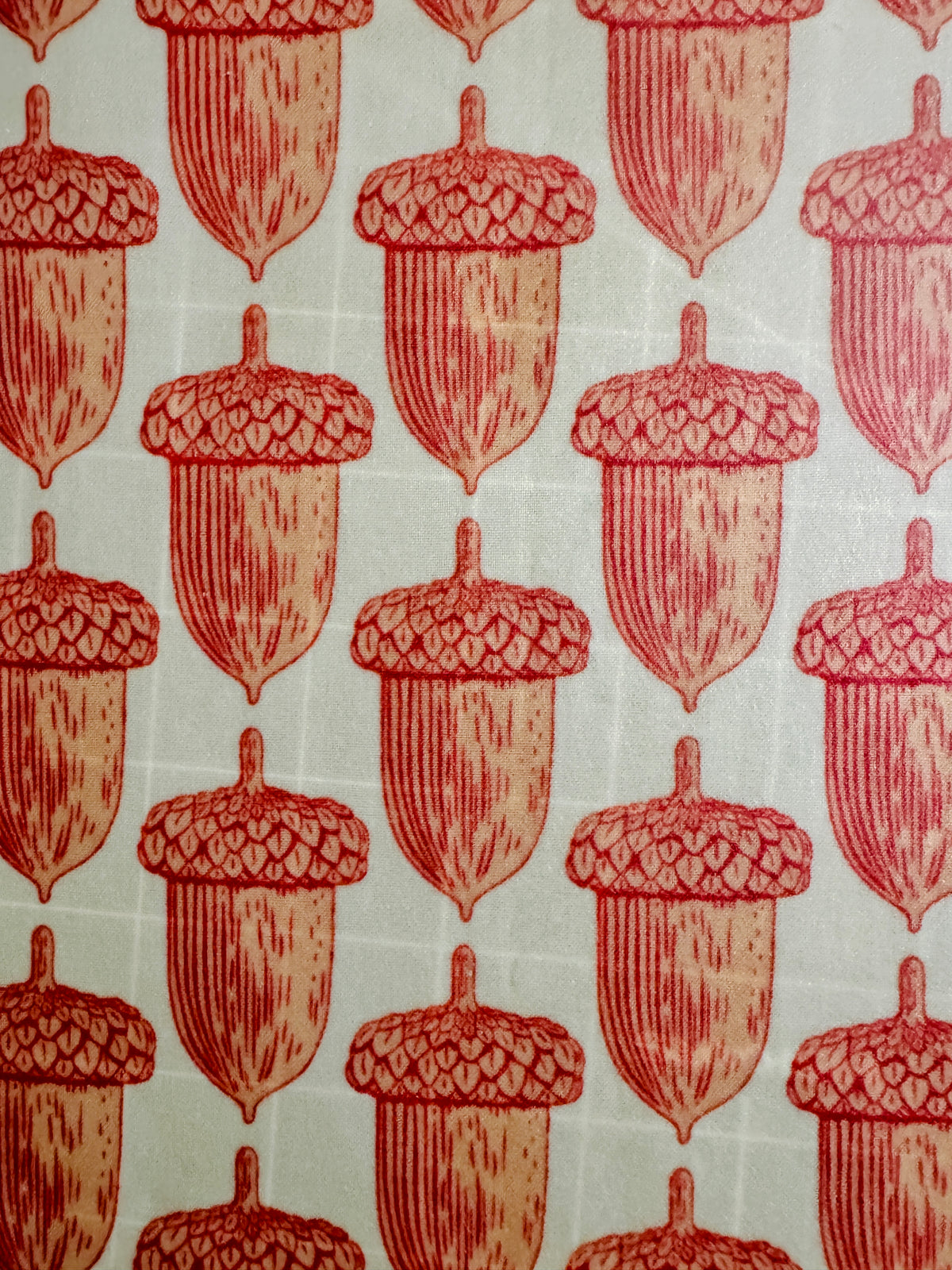 2 Pack Medium 10X10" Beeswax Wrap  (ACORN)
