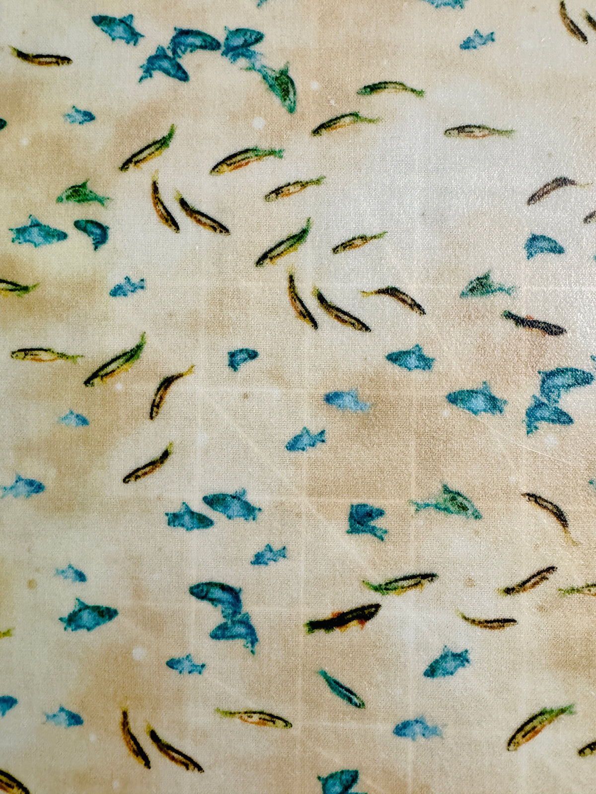2 Pack Medium 10X10" Beeswax Wrap  (TROUT)