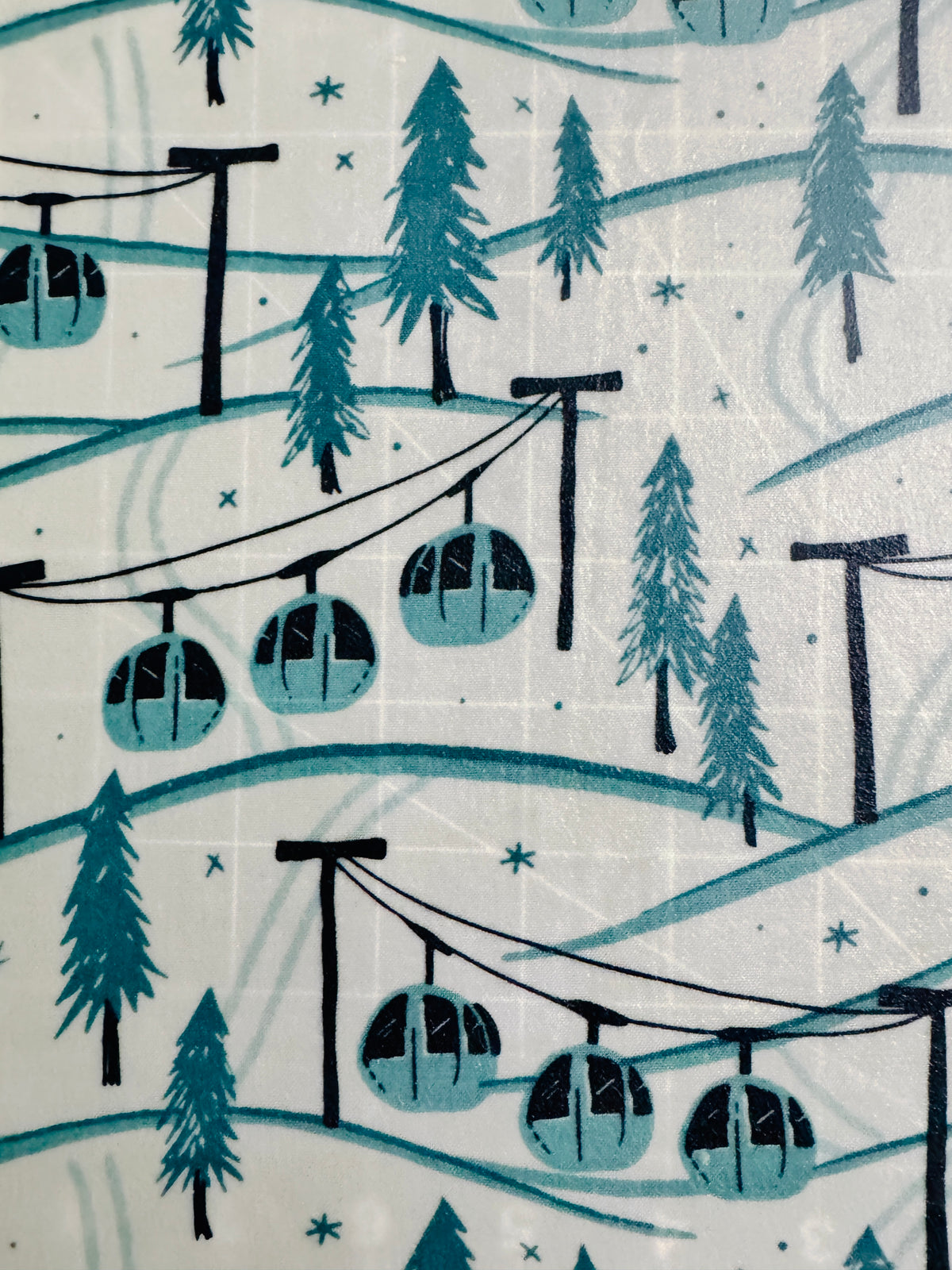 2 Pack Medium 10X10" Beeswax Wrap  (SKI RESORT)